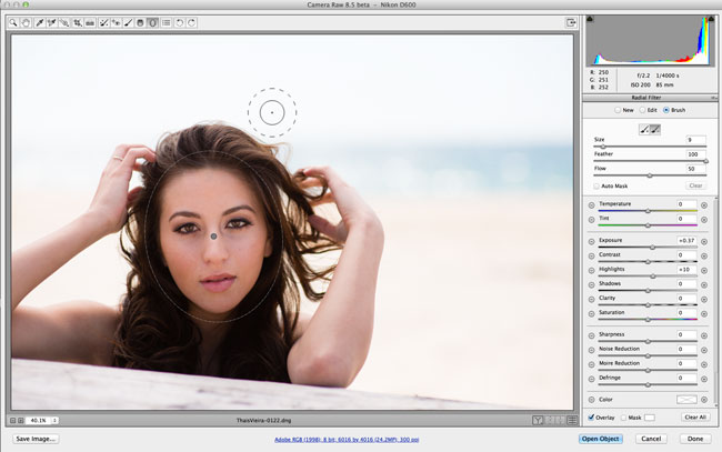 Camera raw for photoshop cs6