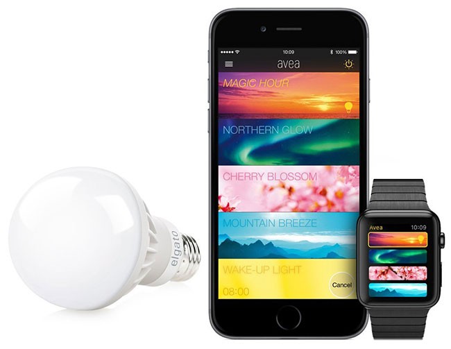 instal the last version for apple LightBulb 2.4.6